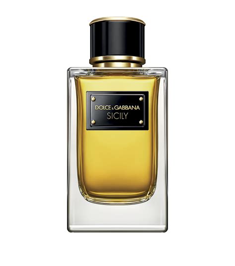 dolce gabbana profumi sicily|velvet sicily.